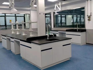 食品行業(yè)實驗室家具案例